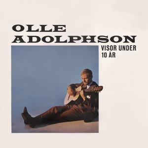 Visor under 10 år cover artwork