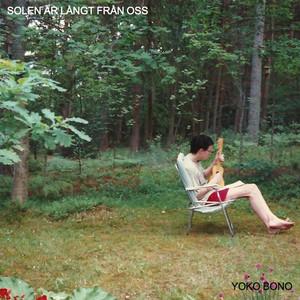 Solen är långt från oss cover artwork