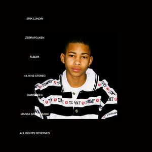 Zebrapojken cover artwork