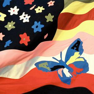 Wildflower cover artwork