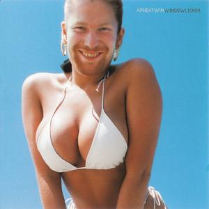 Windowlicker cover artwork